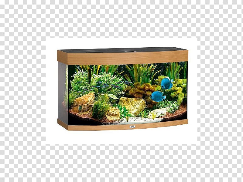 Light Aquarium Filters Aquascaping Aquariums, Aquarium transparent background PNG clipart