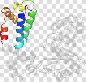 Organism , design transparent background PNG clipart thumbnail