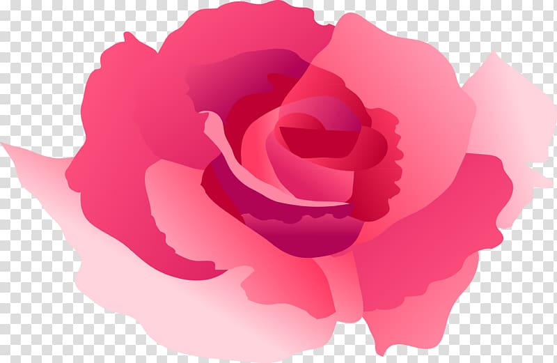 Garden roses Cabbage rose Petal Chinese cuisine, others transparent background PNG clipart