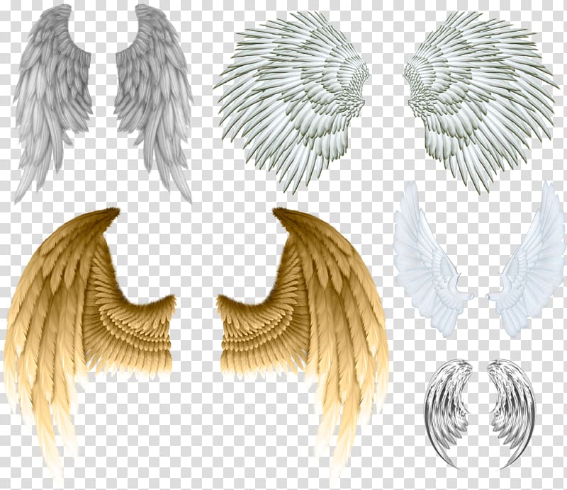 Devil Angel wing , buffalo wings transparent background PNG clipart