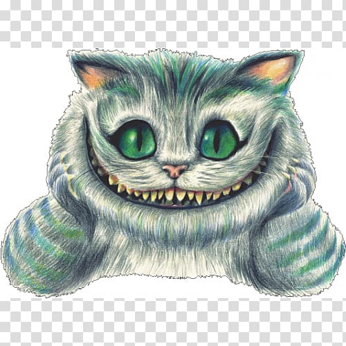 Cheshire Cat Alice Drawing Mad Hatter, Cat transparent background PNG clipart