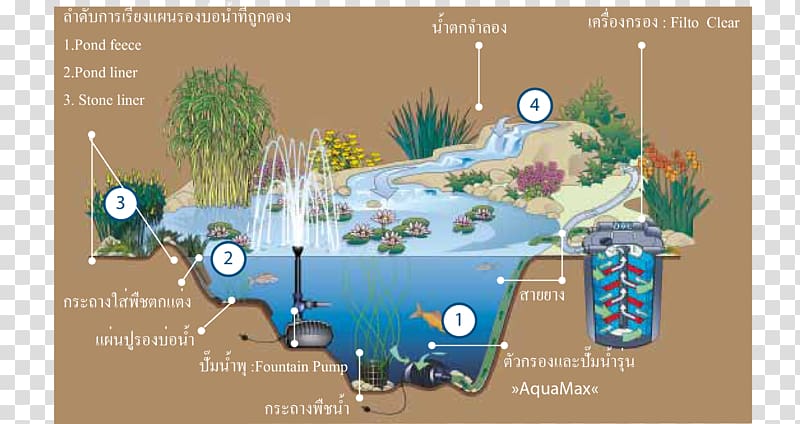 Garden pond Architectural engineering Aquatic Plants, water transparent background PNG clipart