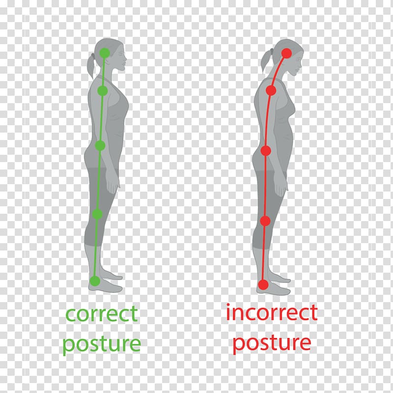 Poor posture Neutral spine Vertebral column Sitting, health transparent background PNG clipart