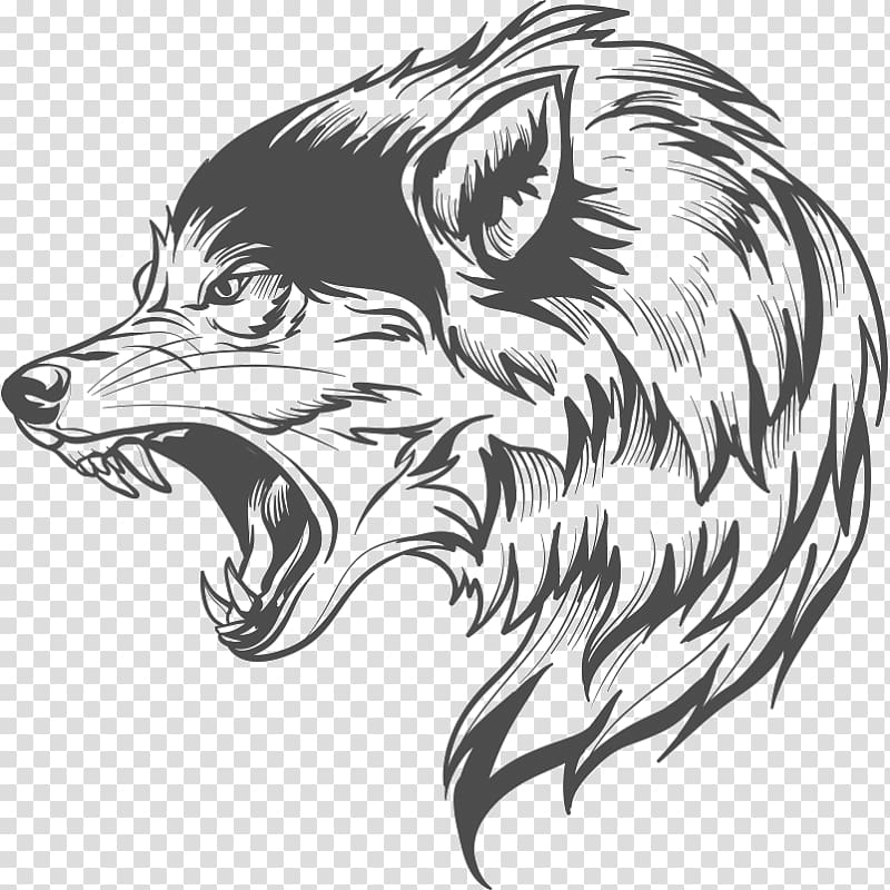 Gray wolf Drawing , others transparent background PNG clipart