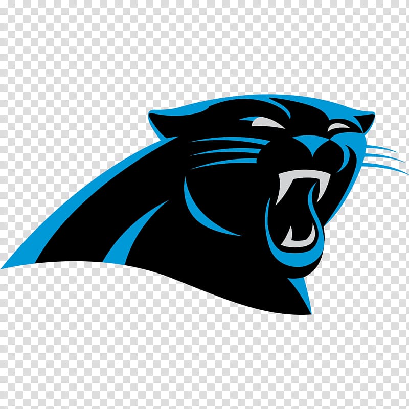 Carolina Panthers NFL New Orleans Saints North Carolina Atlanta Falcons, NFL transparent background PNG clipart