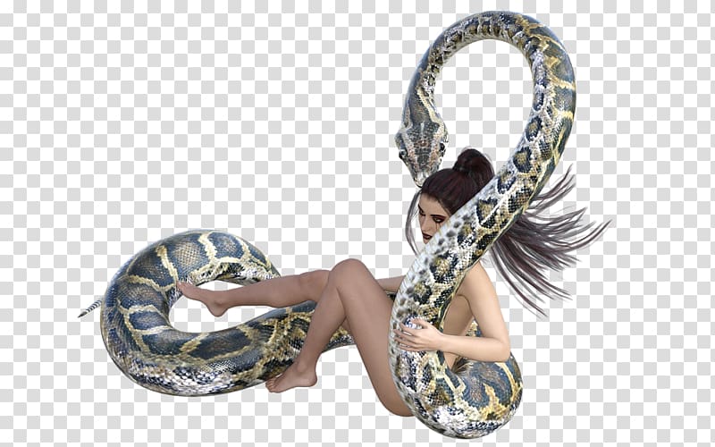 Boa constrictor Snake Mantra YouTube Ganesha, snake transparent background PNG clipart