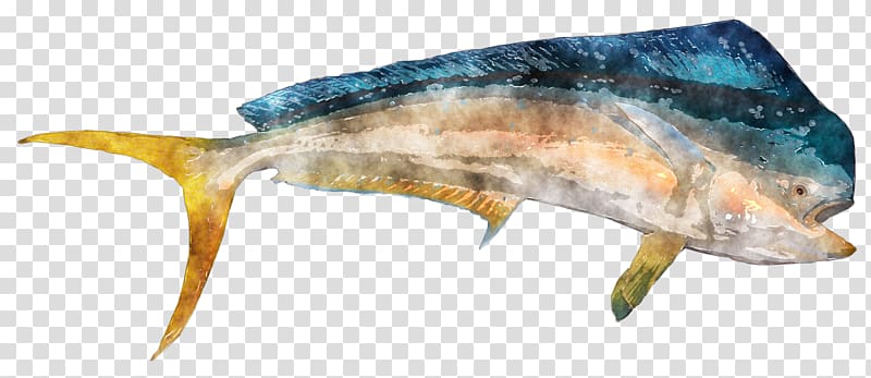 Daiwa Saltist Spinning Reel Daiwa Saltiga Saltwater Spinning Reel Sardine Fishing Reels, fish watercolor transparent background PNG clipart