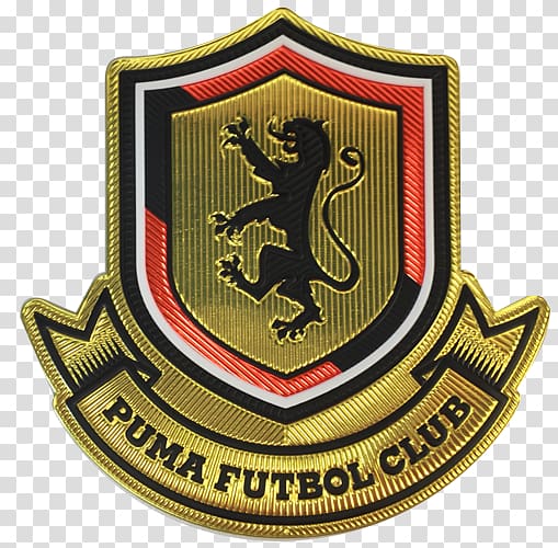 puma fc southampton pro academy