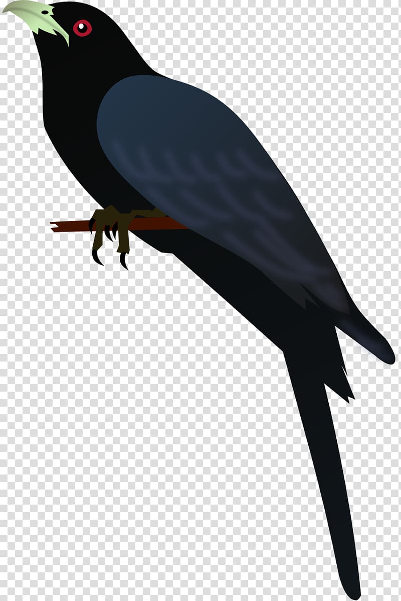 American crow Bird Common myna New Caledonian crow Finches, Bird transparent background PNG clipart