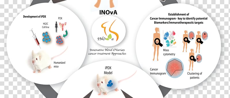Ovarian cancer Prostate cancer Oncology, inova transparent background PNG clipart