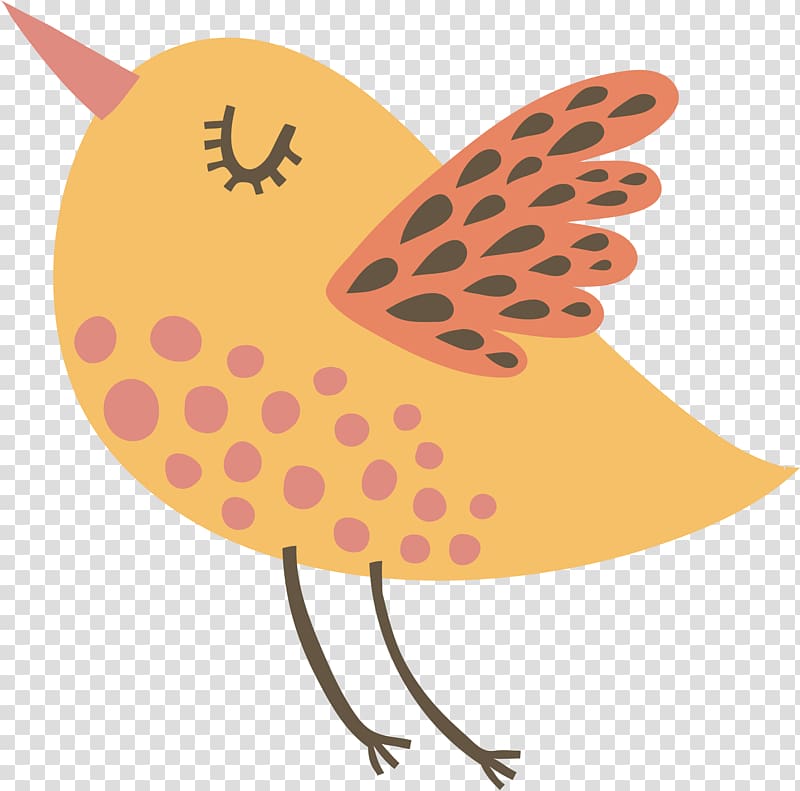 Bird , hand painted bird transparent background PNG clipart