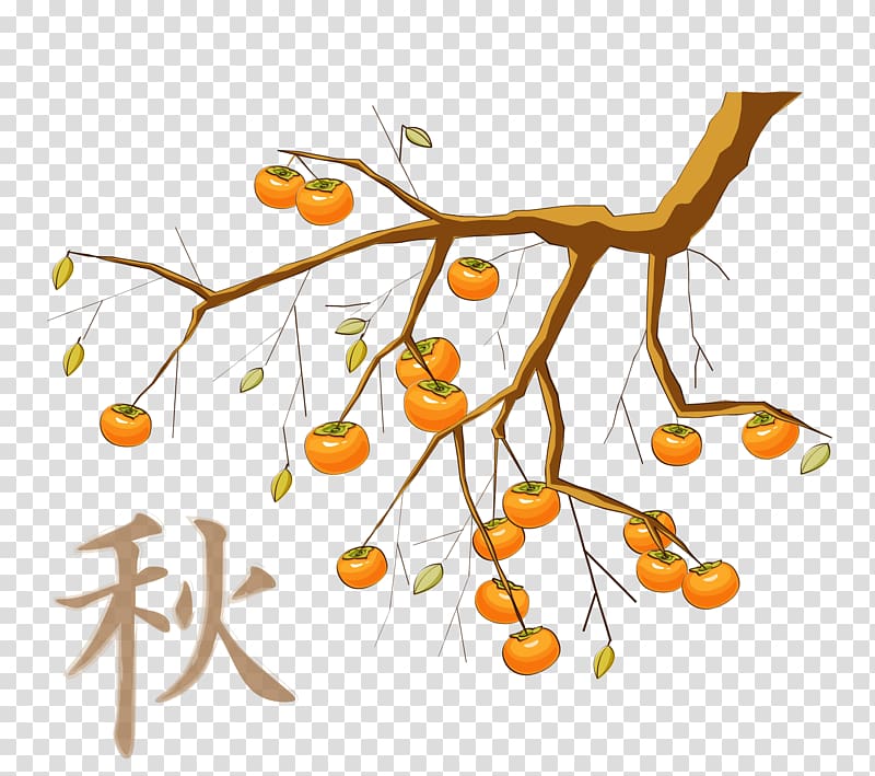 Japanese Persimmon Food , persimmon tree material transparent background PNG clipart