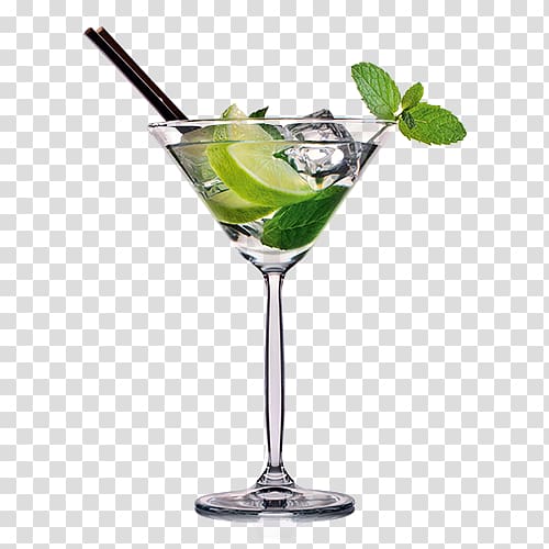 Cocktail garnish Gin and tonic Martini, healthy drinks transparent background PNG clipart