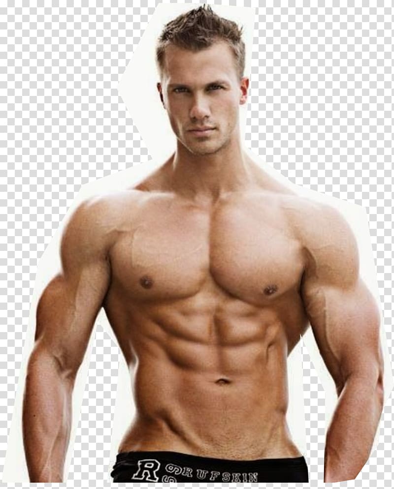 Bodybuilding supplement Body Builders Bodybuilding.com Muscle, bodybuilding transparent background PNG clipart