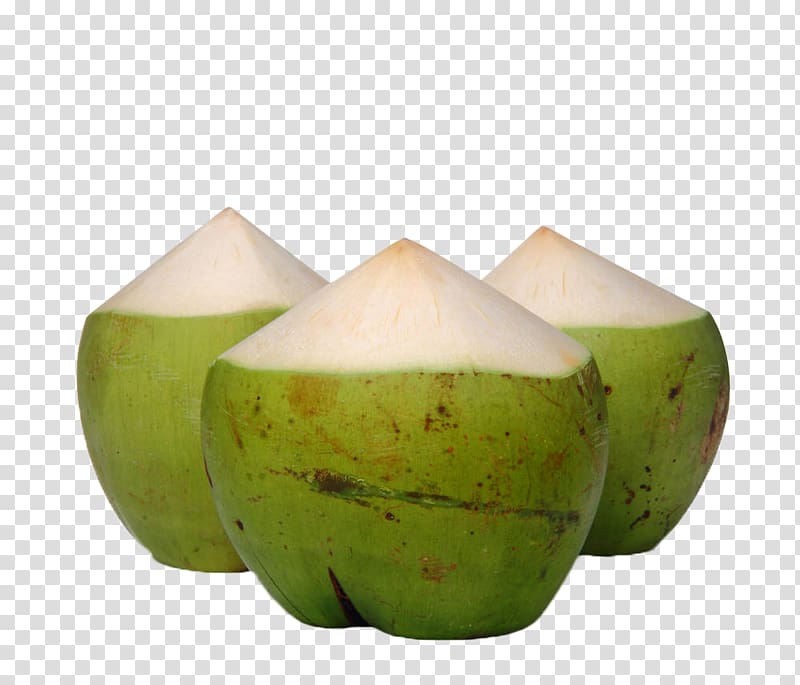three coconuts illustration, Nata de coco Coconut water Fruit, Green coconut transparent background PNG clipart