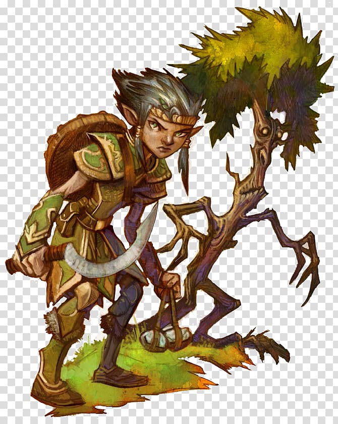 Dungeons & Dragons Gnome Character Halfling Druid, Gnome transparent background PNG clipart