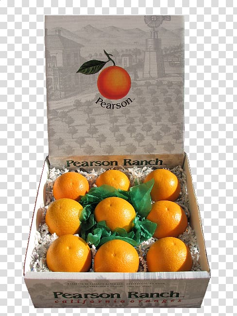 Clementine Valencia orange Tangerine Mandarin orange, orange transparent background PNG clipart