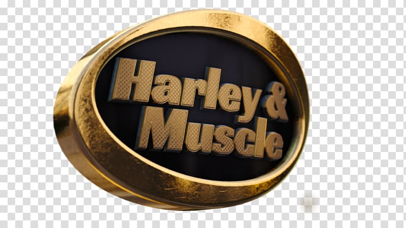 Zoom Video Communications Logo Harley-Davidson Brand Muscle, Intesa Sanpaolo transparent background PNG clipart