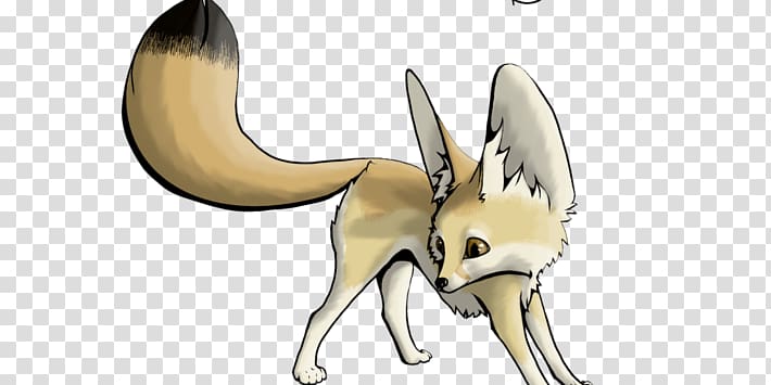 Canidae Fennec fox Red fox Drawing, fennec fox transparent background PNG clipart