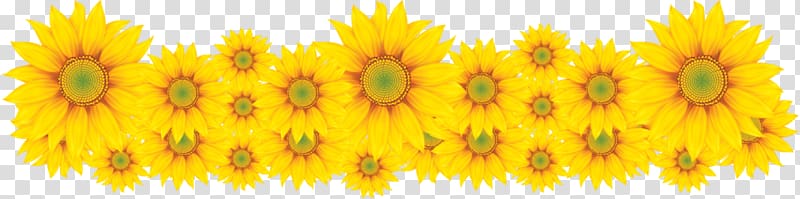 Anna Elsa Frozen Film Series Common sunflower, batata FRITA transparent background PNG clipart