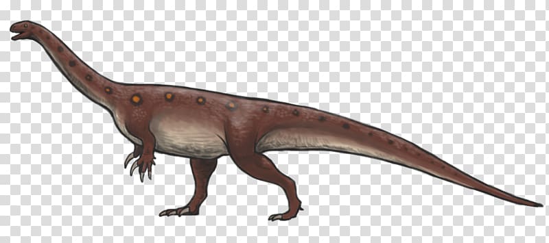 Massospondylus Clarens Aberfeldy, Free State Phuthaditjhaba Pliensbachian, Reconstruction transparent background PNG clipart