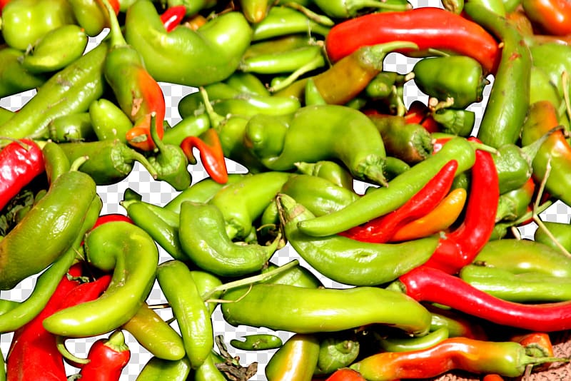 Bell pepper Chili pepper Spice Vegetable Fruit, Green pepper heap transparent background PNG clipart