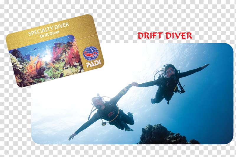 Professional Association of Diving Instructors Scuba diving Drift diving Underwater diving Open Water Diver, others transparent background PNG clipart