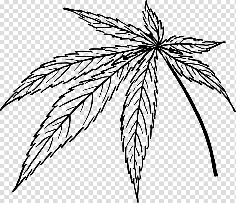 Legality of cannabis Leaf , cannabis transparent background PNG clipart