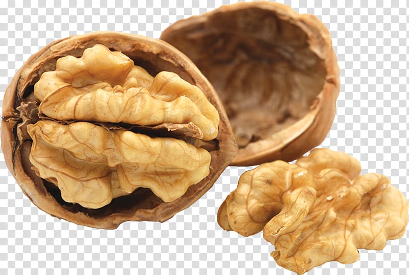 Raw foodism Walnut Nutrition Diet, walnut transparent background PNG clipart