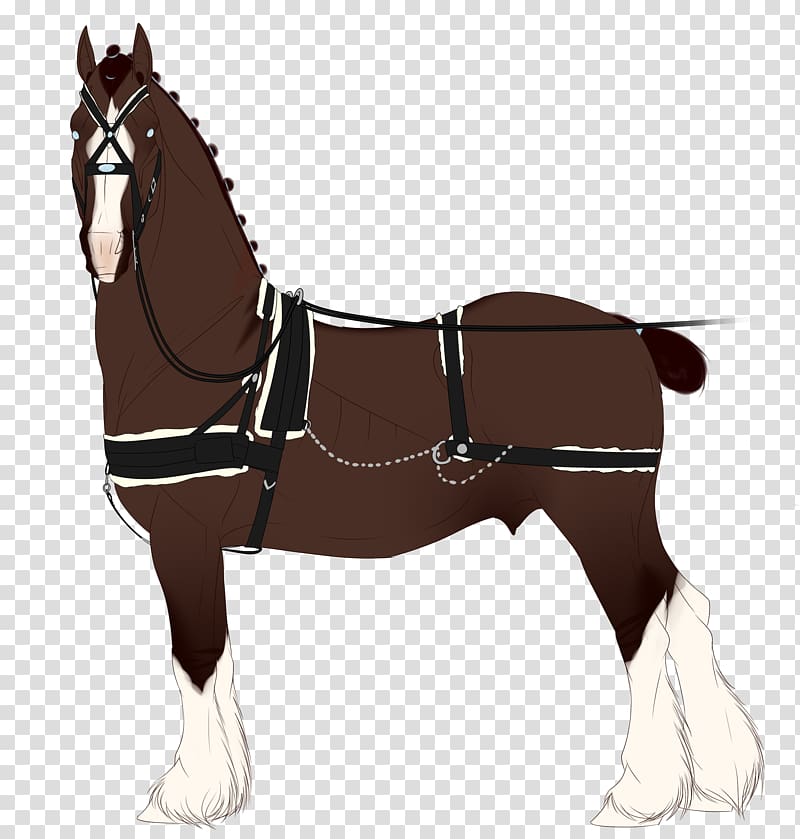 Mule Foal Bridle Stallion Pony, mustang transparent background PNG clipart