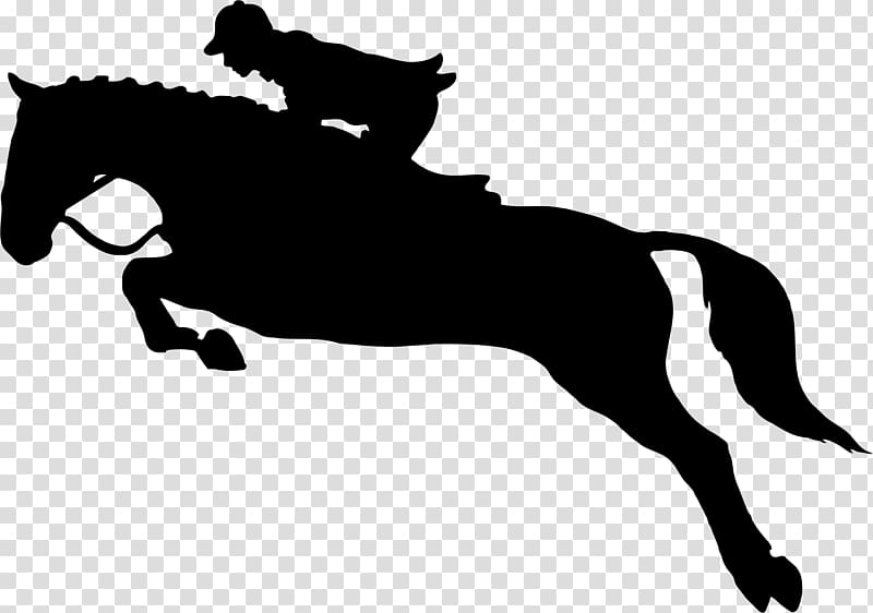 Horse Show jumping Equestrian Dressage, horse riding transparent background PNG clipart