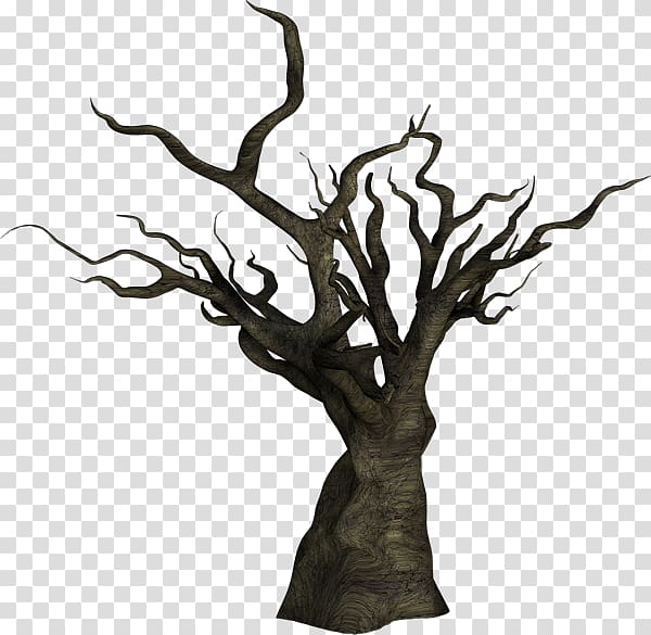 black beautiful trees transparent background PNG clipart