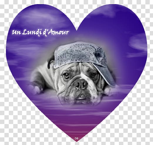 Pug Bulldog Puppy Dog breed Love, mon amour transparent background PNG clipart