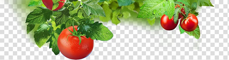 Tomato Tabasco pepper Sweet and chili peppers Malagueta pepper, tomato paste transparent background PNG clipart