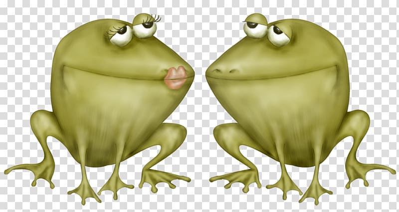 Toad True frog Tree frog, baby kiss transparent background PNG clipart