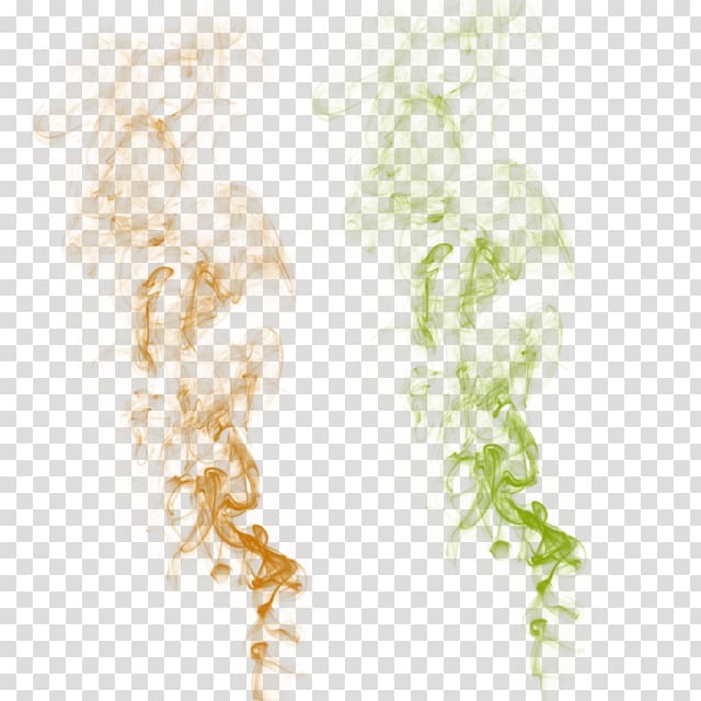 Euclidean graphics Portable Network Graphics Smoke , seedling background transparent background PNG clipart