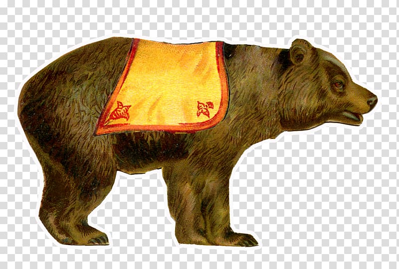 Brown bear Circus , Brown Bear transparent background PNG clipart