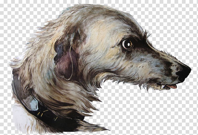 Lurcher Rare breed (dog) Irish Wolfhound Scottish Deerhound Puppy, puppy transparent background PNG clipart