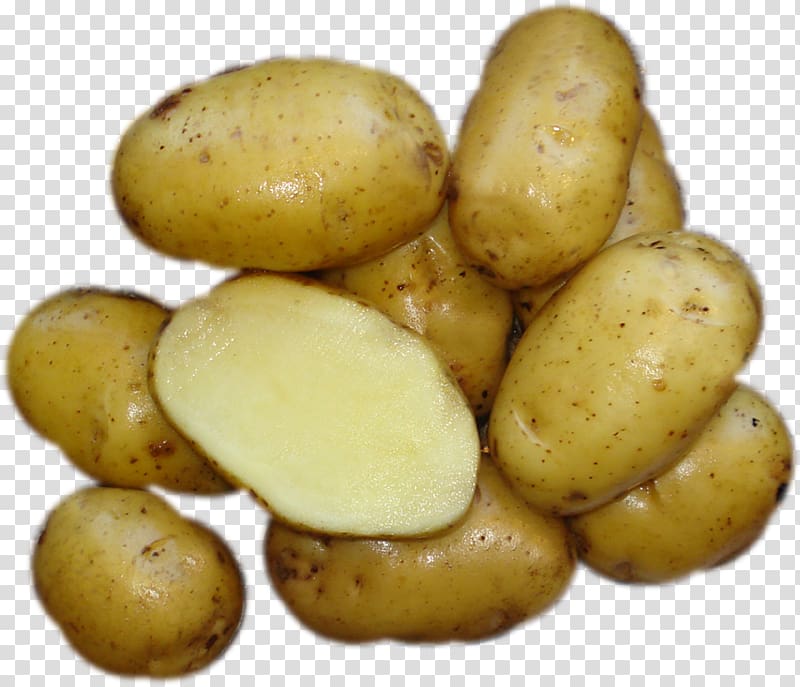 Russet burbank potato Fingerling potato Yukon Gold potato Bintje Tuber, others transparent background PNG clipart