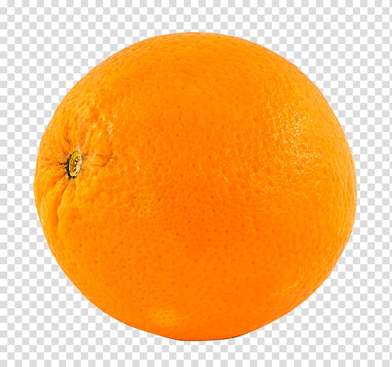 orange fruit, Blood orange Clementine Tangelo Grapefruit Tangerine, Orange Fruit transparent background PNG clipart