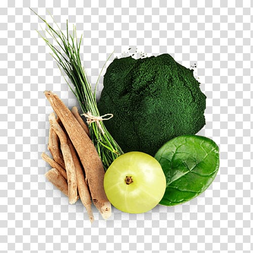Leaf vegetable Vegetarian cuisine Diet food Superfood, Barley grass transparent background PNG clipart