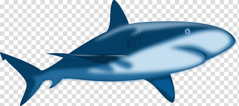 Shark Jaws Free content , Free Shark transparent background PNG clipart
