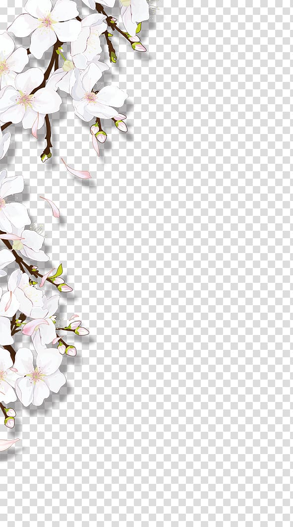 Blooming flowers, white and pink flower transparent background PNG clipart  | HiClipart