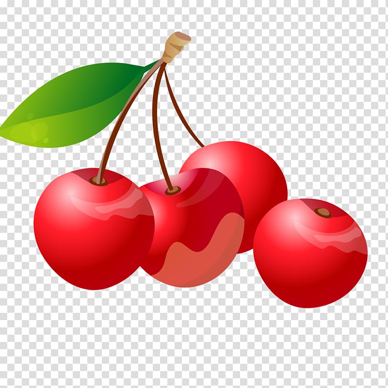 Barbados Cherry Auglis, Cherry red transparent background PNG clipart