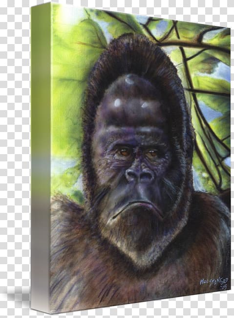 Gorilla Chimpanzee Monkey Wildlife Fur, Mountain Gorilla transparent background PNG clipart