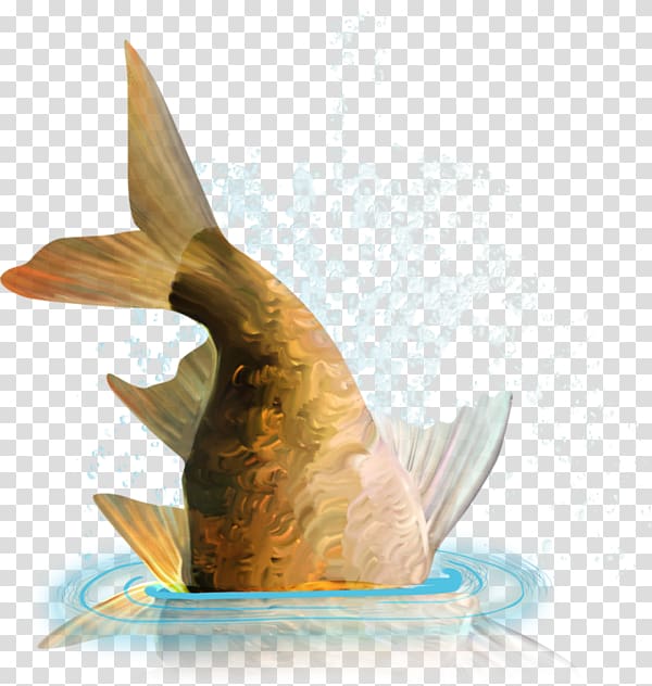 Goldfish, Fish bust transparent background PNG clipart