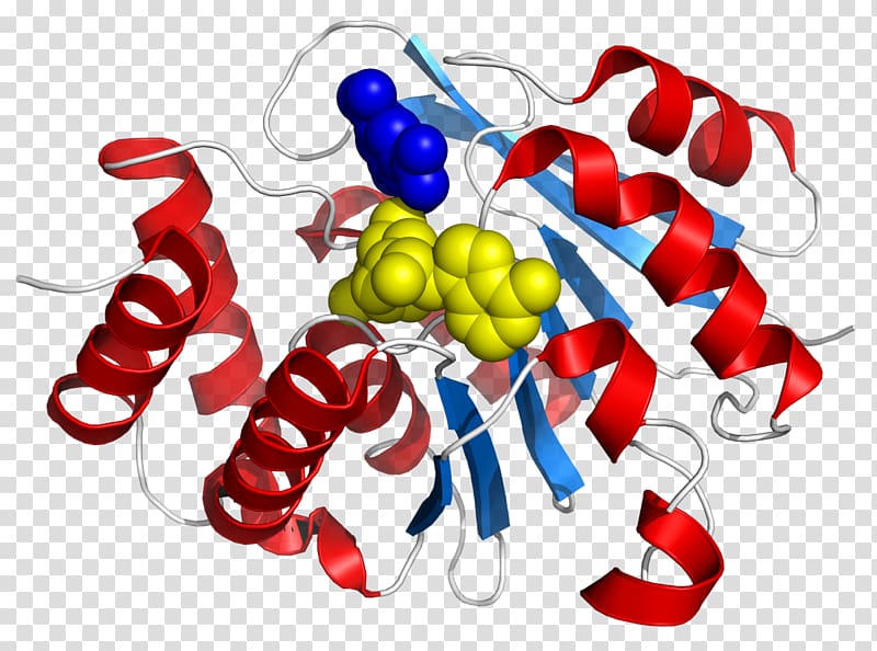 Catechol-O-methyltransferase Entacapone, compound pattern transparent background PNG clipart