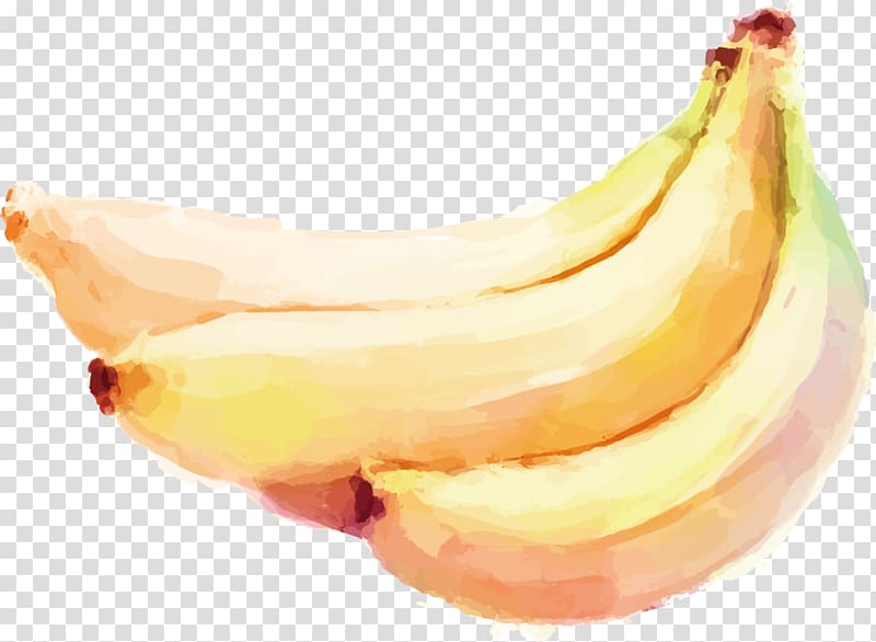 banana fruit illustration, Watercolor painting Auglis Banana Vegetable, banana transparent background PNG clipart