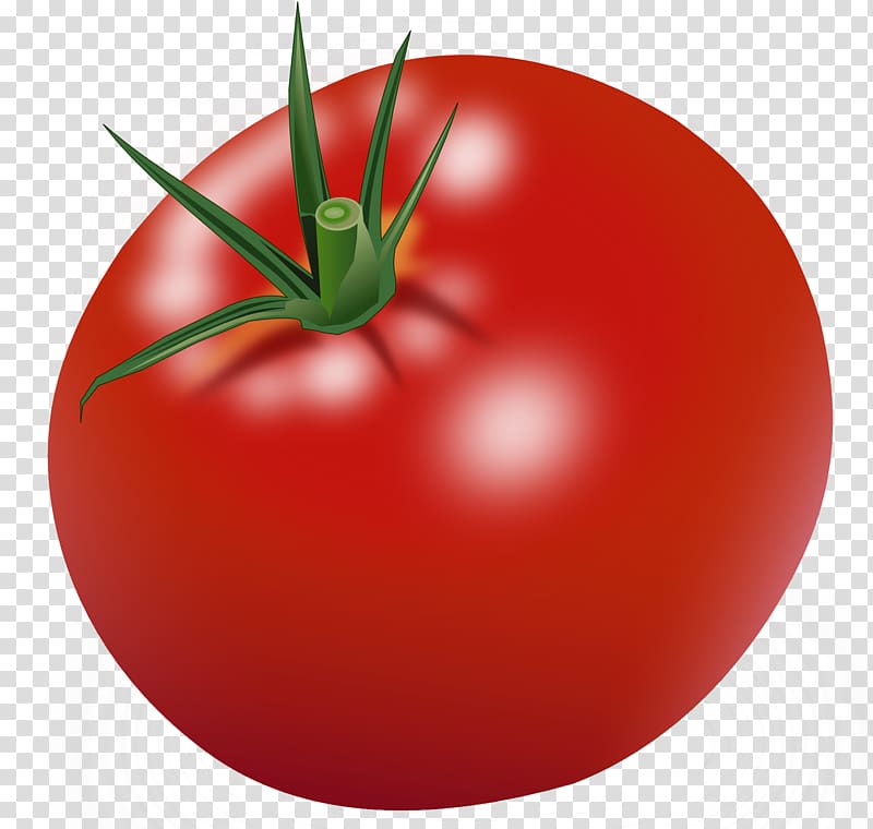 Tomato transparent background PNG clipart
