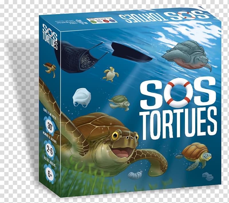 Sea turtle Oceanographic Museum SOS Tortues Game, turtle transparent background PNG clipart
